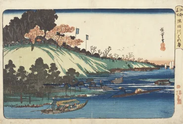Kirschblüten in voller Blüte am Sumida-Fluss