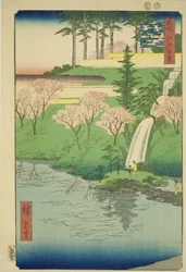 Chiyogaike-Teich, Meguro (Meguro Chiyogaike), aus der Serie "Hundert berühmte Ansichten von Edo (Meisho Edo hyakkei)"