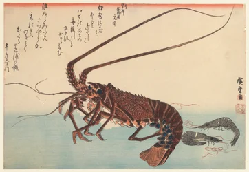 Krebs und zwei Garnelen, aus der Serie Große Fische, 1840