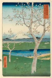 Fuji von Koshigaya, Mushashi, Nr. 14 aus der Serie 