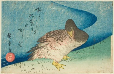 Gans am Flussufer