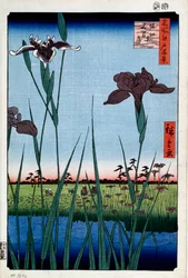 Schwertlilien in Horikiri, Einhundert berühmte Ansichten von Edo, 1856-1858