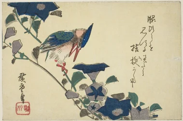 Eisvogel und Glockenblumen