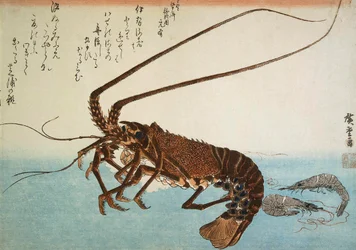 Hummer und Garnelen, 1832-1834