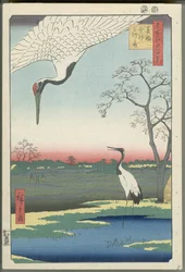 Minowa, Kanasugi und Mikawashima