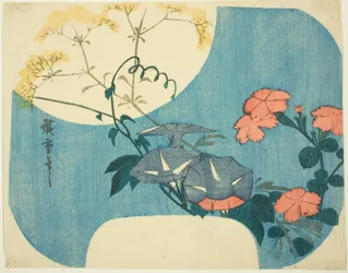 Morgenruhm, Nelken und Jungfernblume, aus der Serie "Sieben Herbstblumen im Mondlicht"