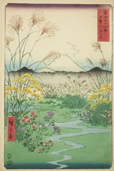Otsuki-Ebene in der Provinz Kai (Kai Otsuki no hara), aus der Serie "Sechsunddreißig Ansichten des Berges Fuji (Fuji sanjurokkei)"
