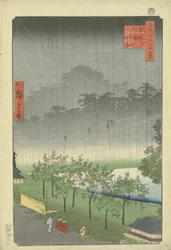 Paulownia-Plantage in Akasaka im Abendregen