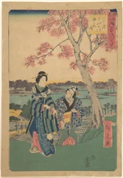 Pflaumenblütenschau im dritten Monat am Sumida-Fluss, aus der Serie „Jährliche Ereignisse an berühmten Orten in der östlichen Hauptstadt“ (Tōto meisho nenjū gyōji sangatsu sumitagawa waka mōde)