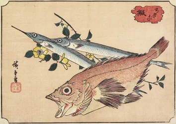 Steinfisch und Halbschnabel, frühes 19. Jahrhundert