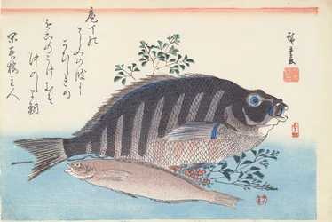 Shimadai und Ainame, aus der Serie 