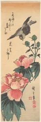 Sperling und Hibiskus
