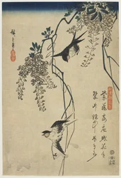 Schwalben fliegen durch Glyzinienranken, 1837-44 (Farbholzschnitt)