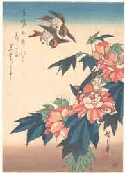 Schwalben und Eisvogel mit Roseneibisch