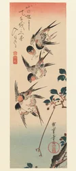 Tanzaku, vier Schwalben, 1832