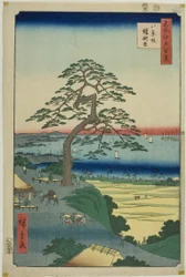 Die Rüstungshängende Kiefer bei Hakkeizaka, aus der Serie "Hundert berühmte Ansichten von Edo"