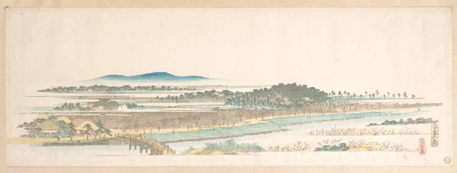 Ansicht des Waldes von Azuma