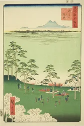 Blick nach Norden vom Asuka-Hügel, aus der Serie "Hundert berühmte Ansichten von Edo"