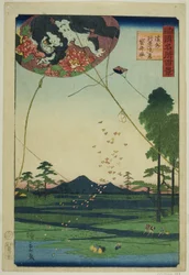 Drachen von Fukuroi und Fernsicht auf Akiba in der Provinz Totomi (Enshu Akiba enkei Fukuroi tako), aus der Serie "Hundert berühmte Ansichten in den verschiedenen Provinzen (Shokoku meisho hyakkei)"