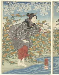 Der Ide Tama Fluss in der Provinz Yamashiro