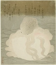 Oktopus und Muschel
