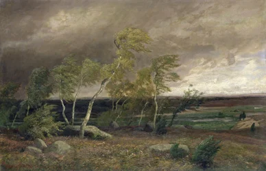 Die Heide im Sturm