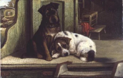 Ein Leben auf der Straße