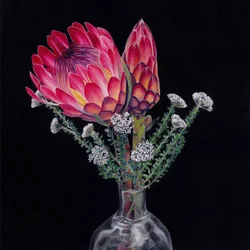 König-Protea-Strauß