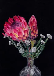 Protea und Blombos von Viccy Wanliss