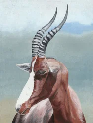 Serenes Blesbok-Porträt