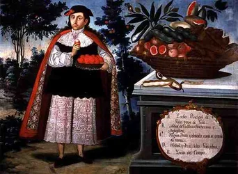 Der indische Häuptling von Quito in voller Tracht
