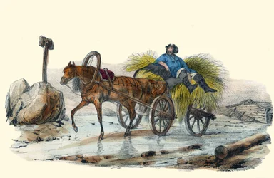 Le Paysan Russe. in Album Grotesque, Choices of Outstanding Types, Illustrationen von Victor Adam, Paris, um 1850