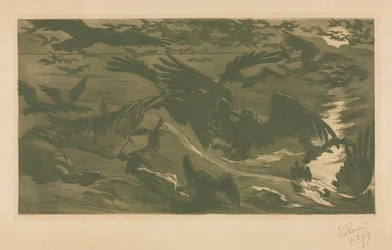 Raubvögel, 1893