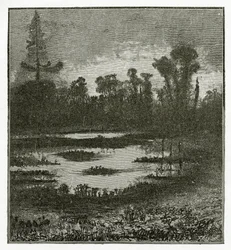 Les Chants du Crépuscule, 19. Jahrhundert
