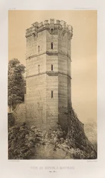 Turm von Buffon in Montbard (Côte d