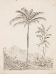 Palmen