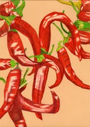 Würzige rote Paprika