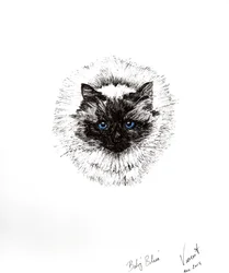 Babyball, 2015