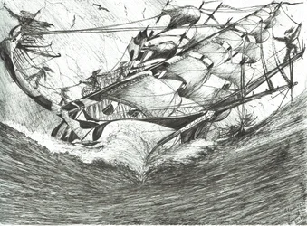 Sturmerschaffer Arktischer Ozean, 2017