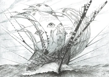 Sturmerschaffer Beringmeer, 2019