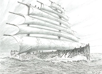 Sturmerschaffer Cape Brett, 2022