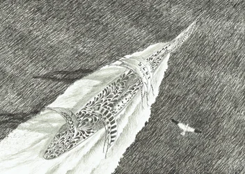 Sturmerschaffer Cape Canaveral, 2022