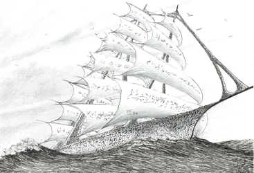 Sturmerschaffer Süd-Taranaki-Bucht