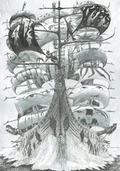 Sturmerschaffer Cortez-See, 2018