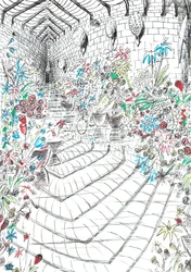 Seite 37, Das Schloss im Wald von Findhorn, 2006