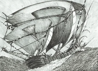 Sturmerschaffer Asowsches Meer, 2017