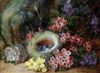 Vogelnest mit Blumen und Primeln. Gemälde von Vincent Clare (um 1855-1930) Privatsammlung.