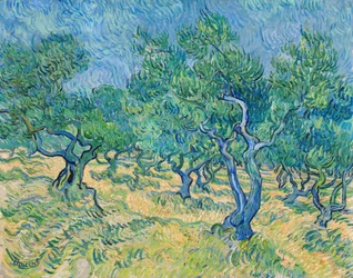 Olivenhain, 1889