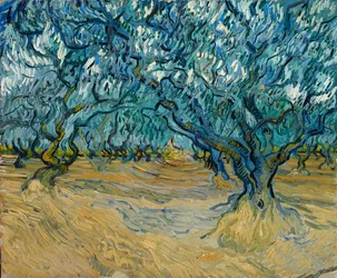 Der Olivenhain, Saint-Rémy, 1889