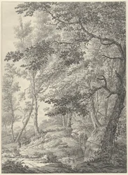 Waldlandschaft mit einer Holzbrücke und zwei Wanderern